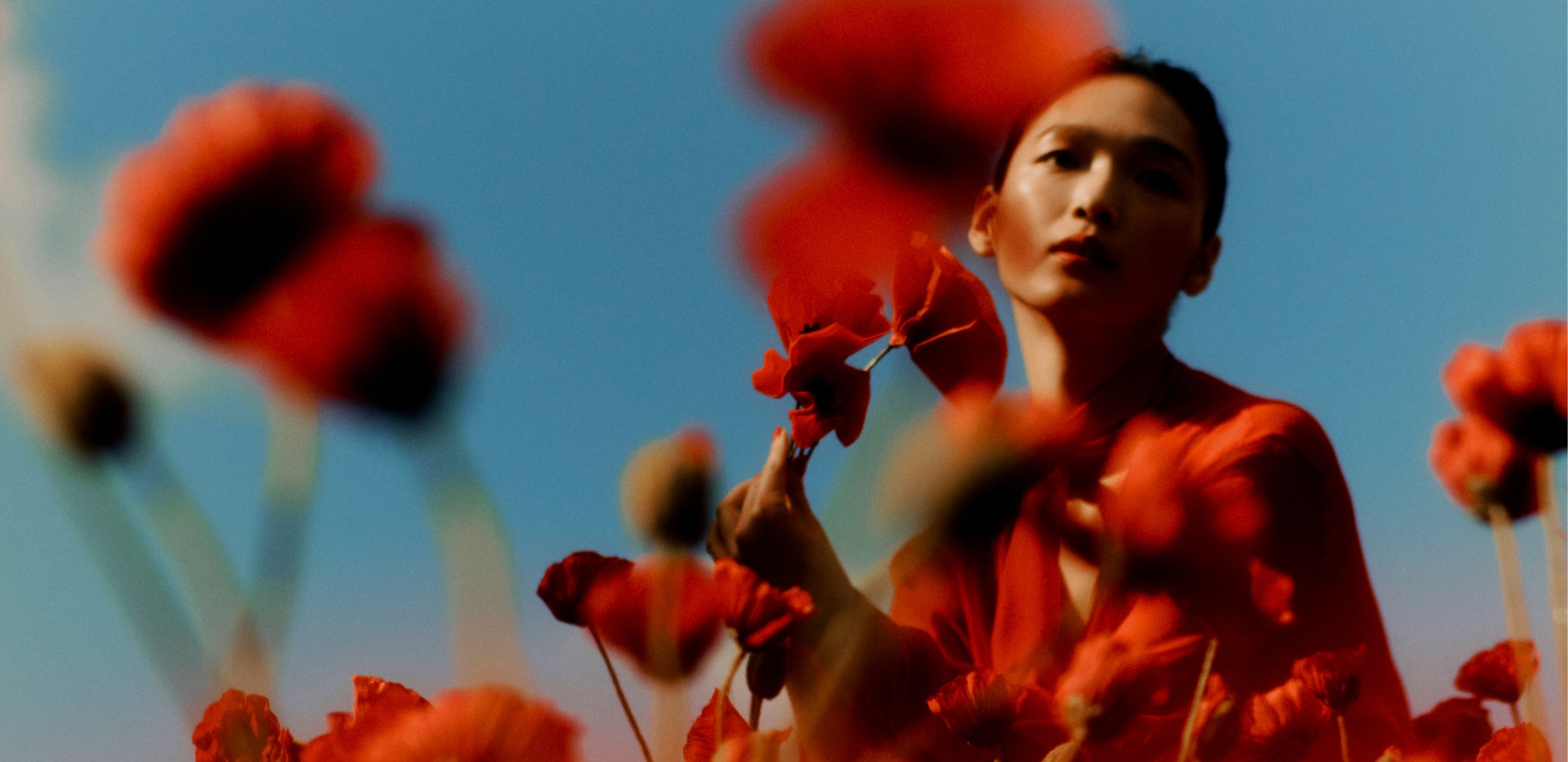 'A figure sits in the background of a field of poppies under a blue sky. The poppies are slightly blurry in the foreground.